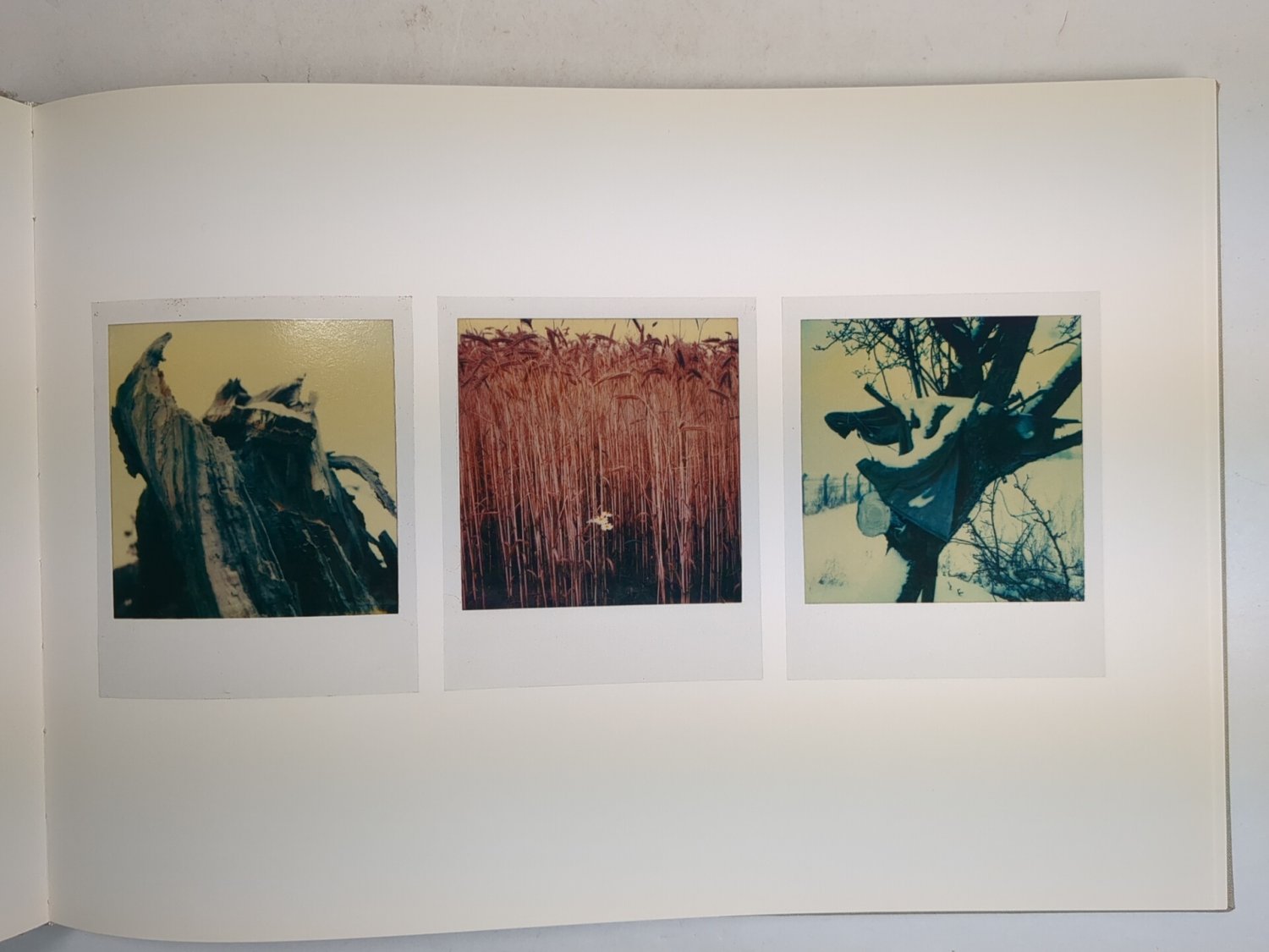 Arno Fischer『Der Garten / The Garden』写真集 Der Garten / The Garden - Arno Fischer